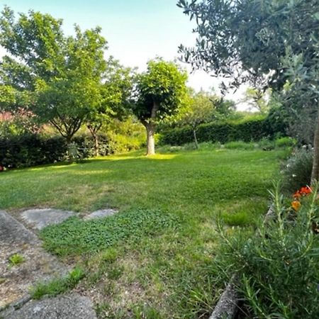 L'Oustal De L'Olivier Villa Rignac  Екстериор снимка